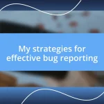 My strategies for effective bug reporting