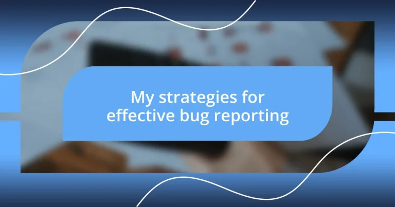 My strategies for effective bug reporting